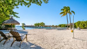 Sunlit tropical beach with wooden lounge chairs, thatched umbrellas, palm trees, and a pier stretching into calm blue water.