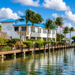 Tropical marina with vibrant waterfront vibes