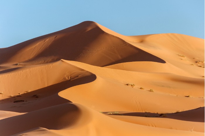 Sand dunes at Jockey’s Ridge State Park in the Outer Banks