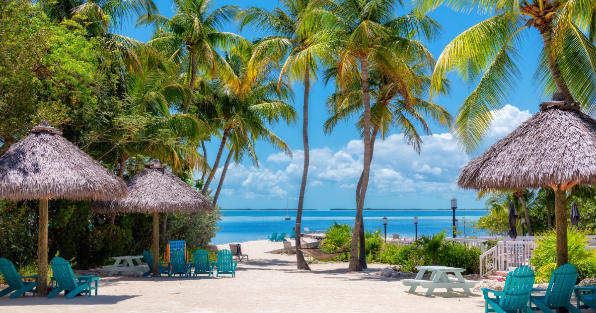 Oceanfront view in Key Largo Florida with clear water, palm trees, and a peaceful coastal setting