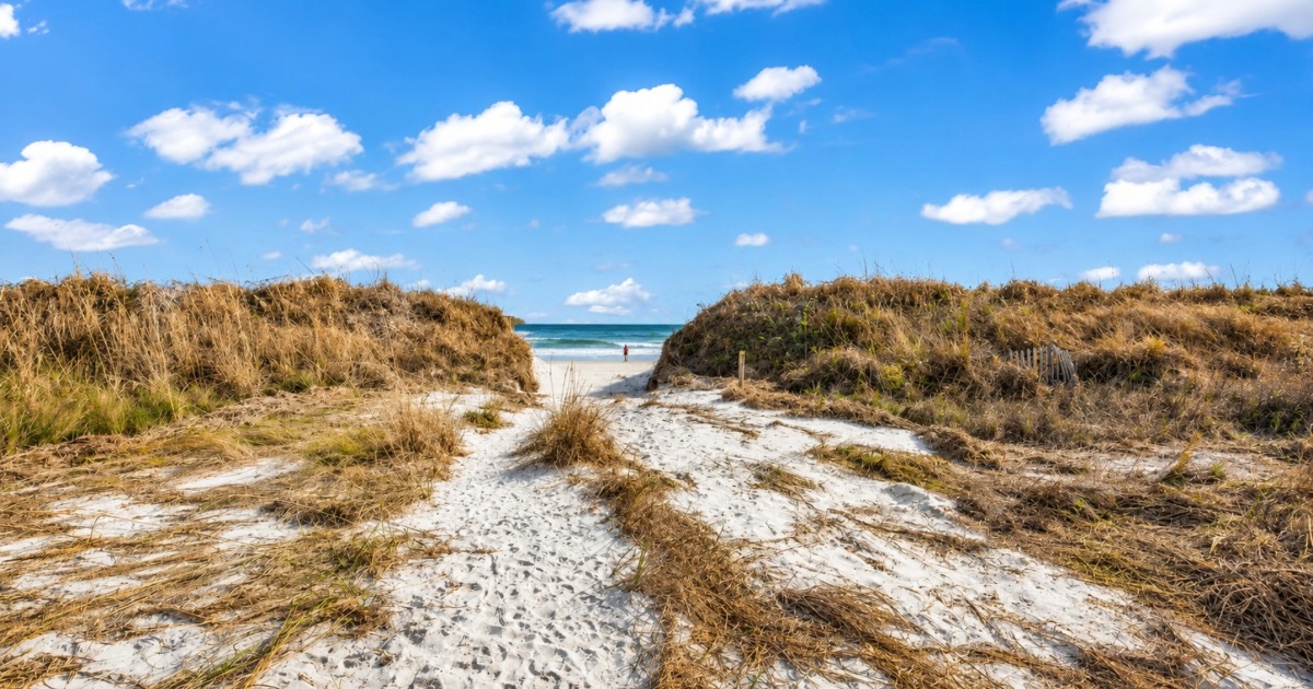 Path through sandy dunes leading to a blue ocean under a bright sky with scattered white clouds; a person stands at the shoreline in the distance.