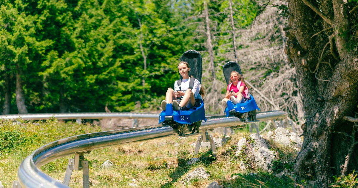 Mountain coaster at Wisp Resort in McHenry, Maryland, with forested hillside in the background