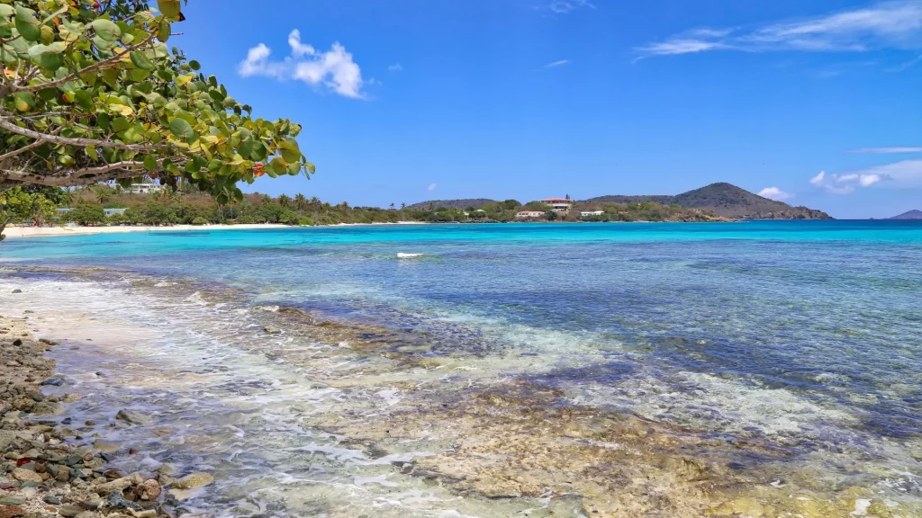 Tropical beach with turquoise water, white sand, and overhanging tree branches in the foreground on a sunny day.