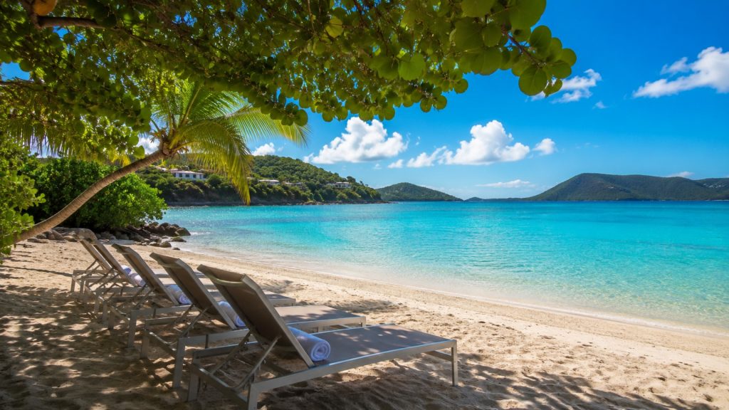 Lounge chairs beneath palm and sea grape trees facing the turquoise water and distant islands at Sapphire Beach.