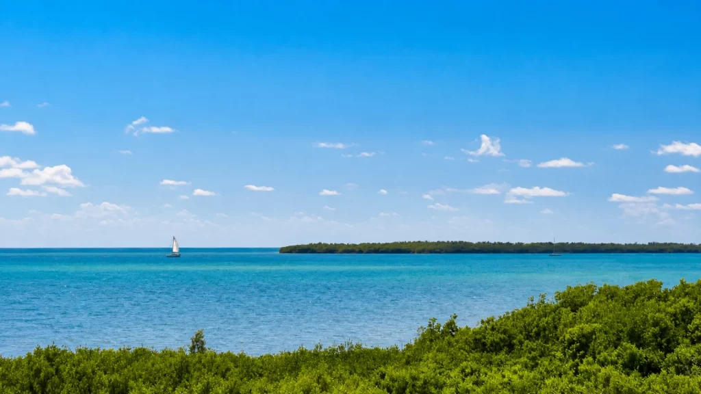 Calm blue ocean with a small sailboat near the horizon, foreground of green shrubs under a clear sky.