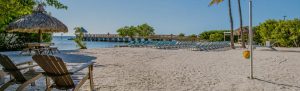 Sun-soaked beach with wooden lounge chairs, thatched umbrellas, and a long pier stretching into calm blue water.
