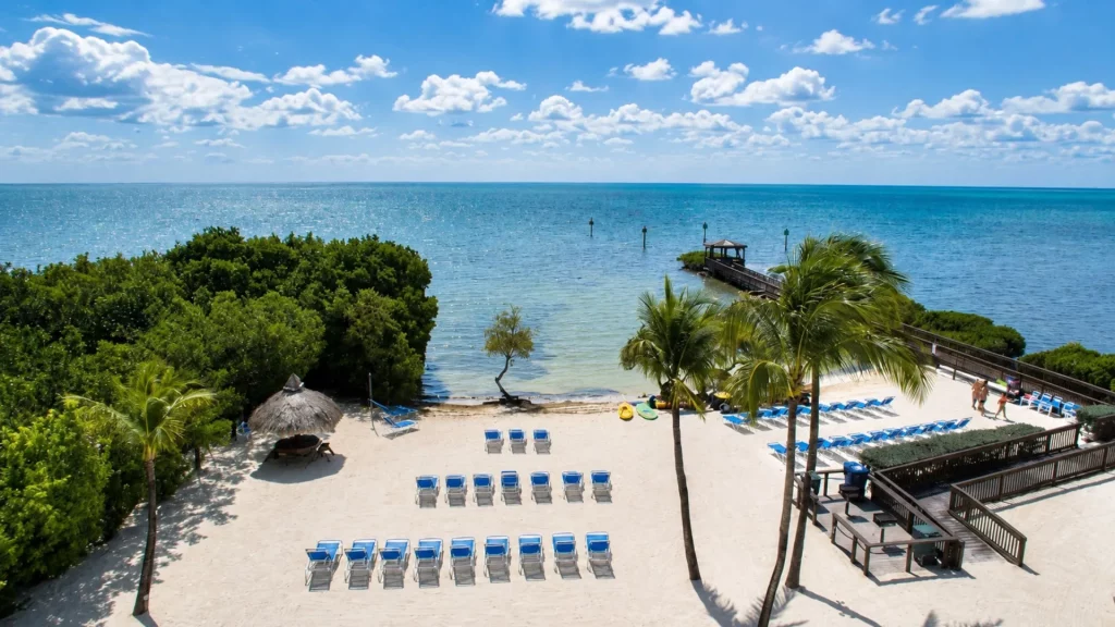Sunny beach with rows of blue lounge chairs, palm trees, and a wooden boardwalk overlooking turquoise sea.