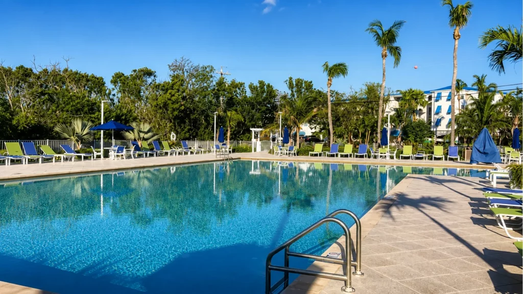 Outdoor hotel pool area with blue and green lounge chairs and palm trees on a sunny day.