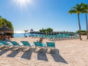 Sunlit tropical beach with turquoise lounge chairs arranged in rows along the sandy shore and a wooden pier extending into calm blue water under a clear sky.