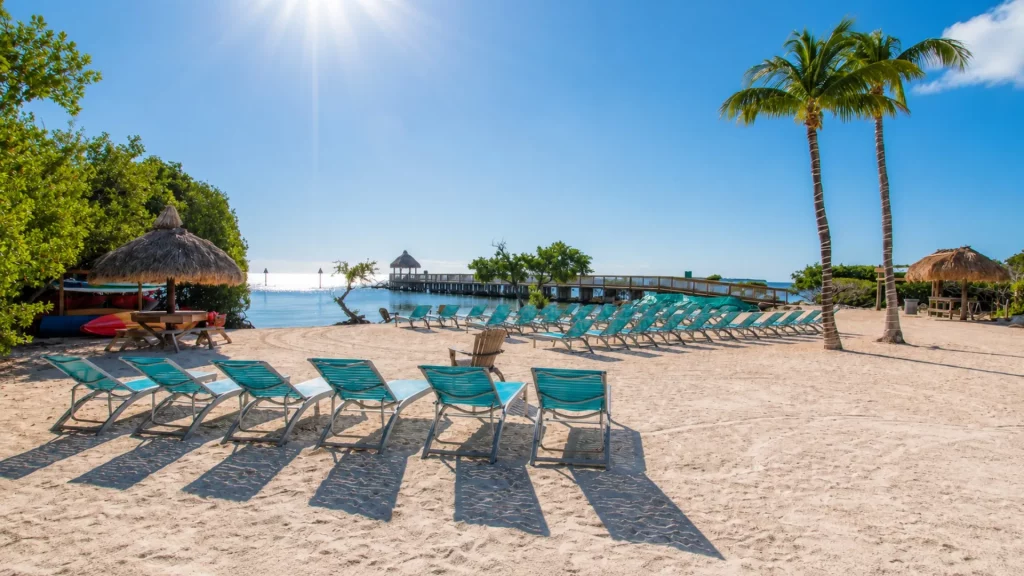 Sunny tropical beach with rows of turquoise lounge chairs facing the calm blue sea and a wooden pier extending into the water beneath a bright sky.
