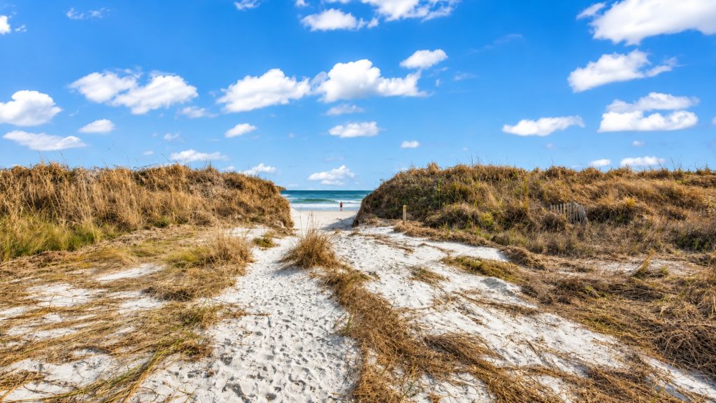 Beach scene with sandy dunes, a blue sky, and a person standing near the shoreline by the waterline the horizon wide view.