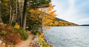 Wooded hiking trail at Swallow Falls State Park in autumn near Deep Creek Lake