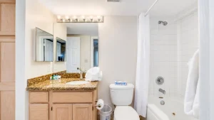 Bathroom scene with a wood vanity, granite countertop, and two mirrored medicine cabinets above the sink; toilet next to it; bathtub with shower curtain on the right.