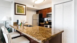 Modern kitchen with a granite island, double sink, stainless steel fridge and oven, and white louvered closet on the right.