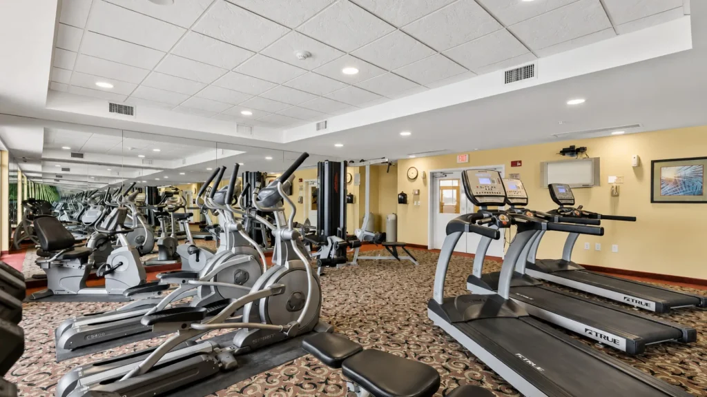 Bright gym interior with rows of treadmills and elliptical machines for cardio workouts, mirrored wall on left.