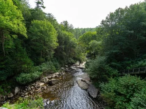 Dense green forest surrounds a rocky stream; a wooden bridge runs along the right bank.