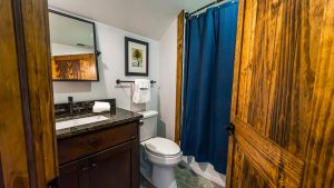 Bathroom with dark wood vanity, black granite countertop, framed tree art, towel bar, toilet, and blue shower curtain.