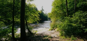 deep-creek-background-3 | Swack Vacations River rapids at Swallow Falls state park in Deep Creek Lake maryland