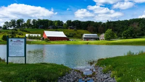 Waterfront Greens Community fishing pond