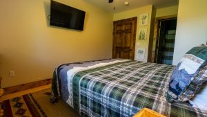 Cozy bedroom with a plaid green quilted bed, a wall-mounted TV, and a wooden door beside three plant-art prints on the wall.