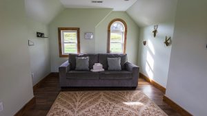 Cozy living room with a gray sofa, two wooden-framed windows, and rustic animal head wall decor on pale green walls.