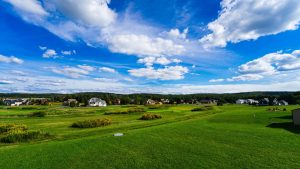 Sunny day over a grassy golf course with a row of houses on the horizon beneath a bright, cloudy blue sky.