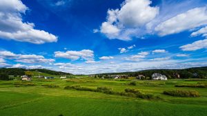 Wide field of green grass with scattered houses along a tree-lined horizon under a bright blue sky and white clouds
