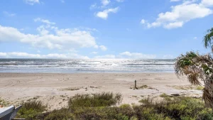 Sunny beach scene with blue sky, fluffy clouds, and gently lapping waves along the shore; palm fronds on the right.